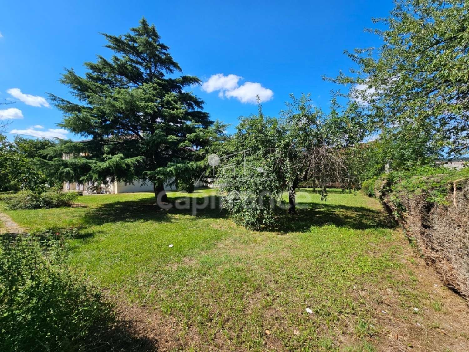  te koop huis Aussillon Tarn 3