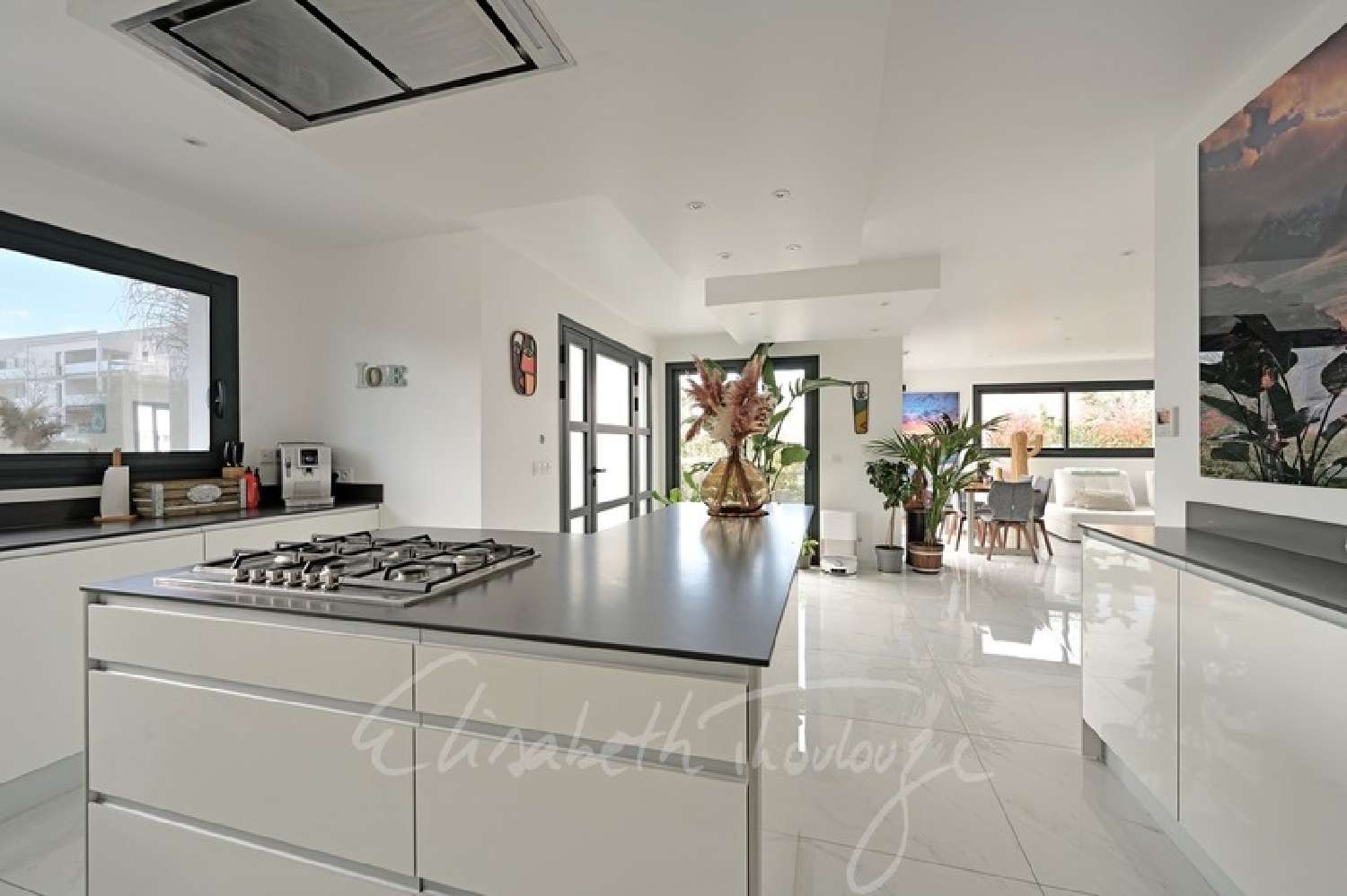  à vendre maison Baillargues Hérault 1