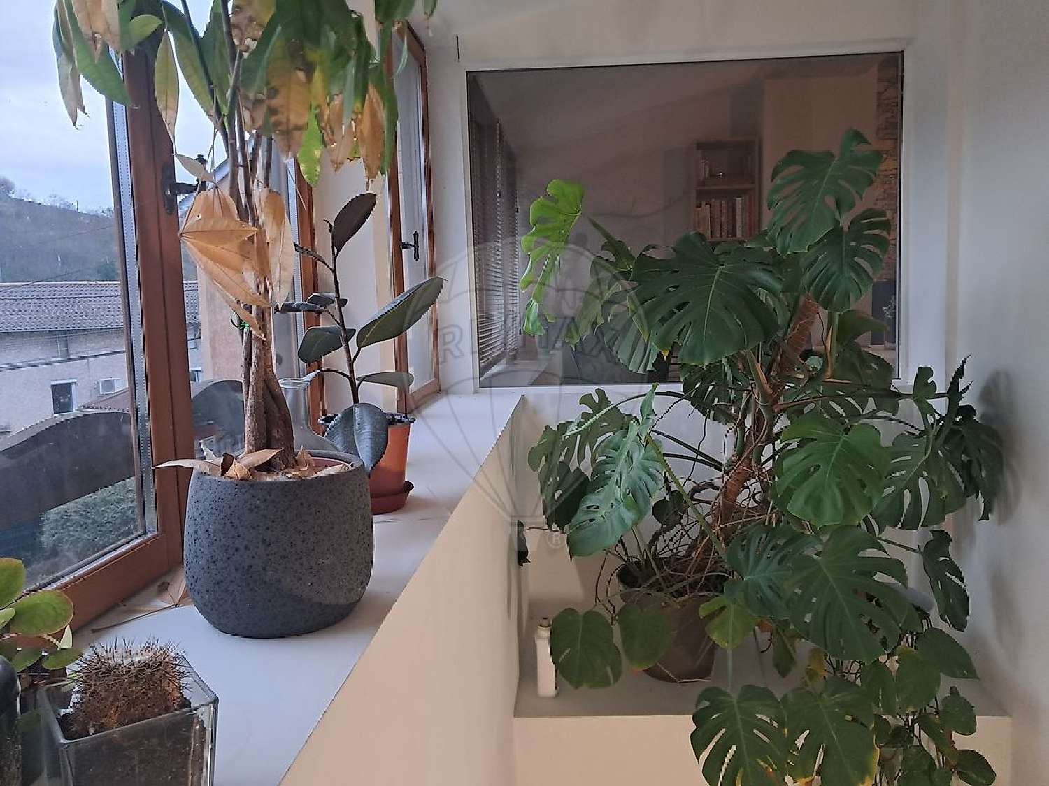  te koop huis Beaujeu Rhône 4