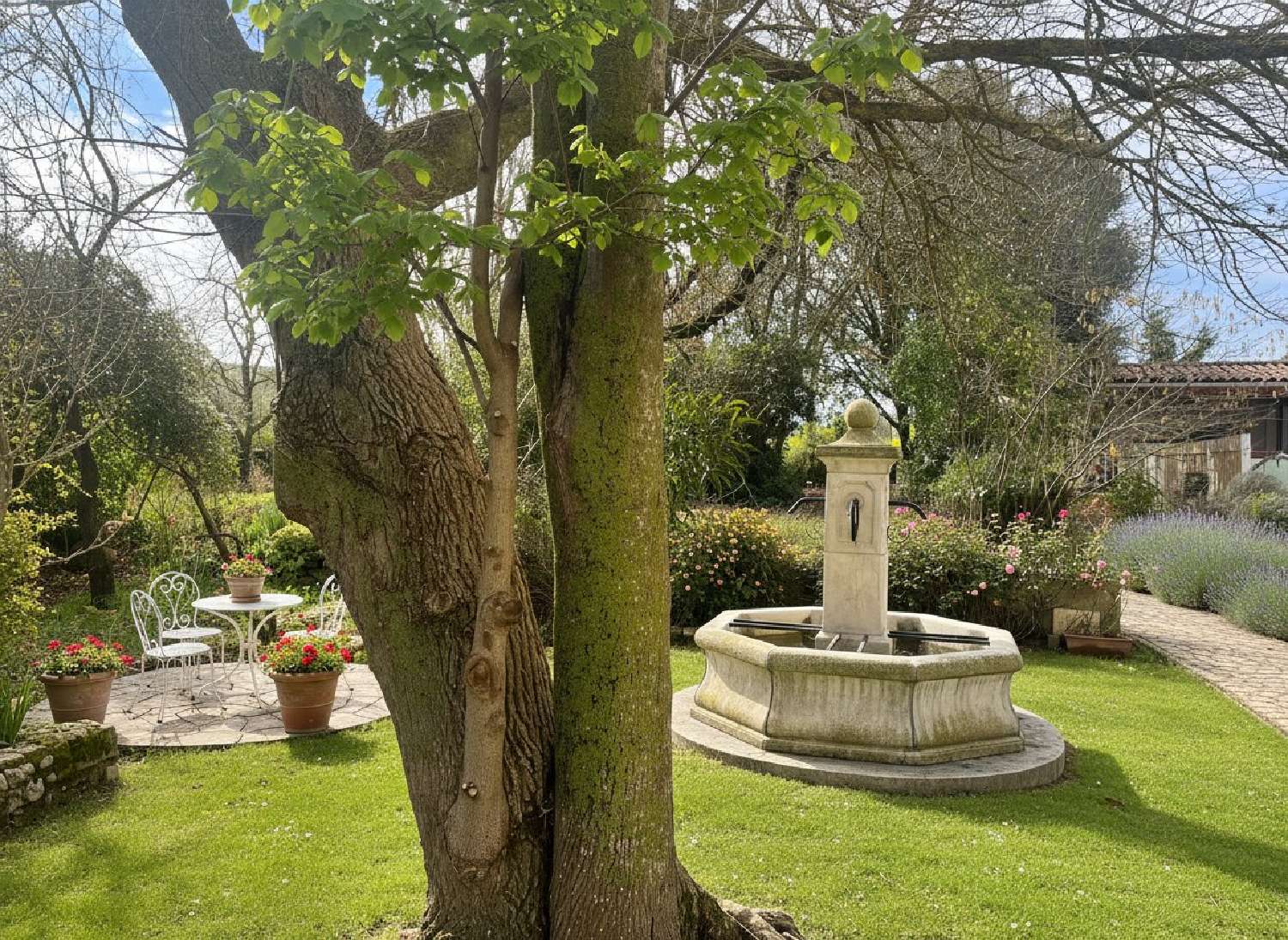 for sale house Belvèze-du-Razès Aude 4