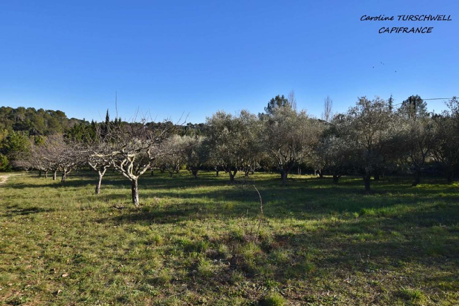  à vendre maison Besse-sur-Issole Var 2