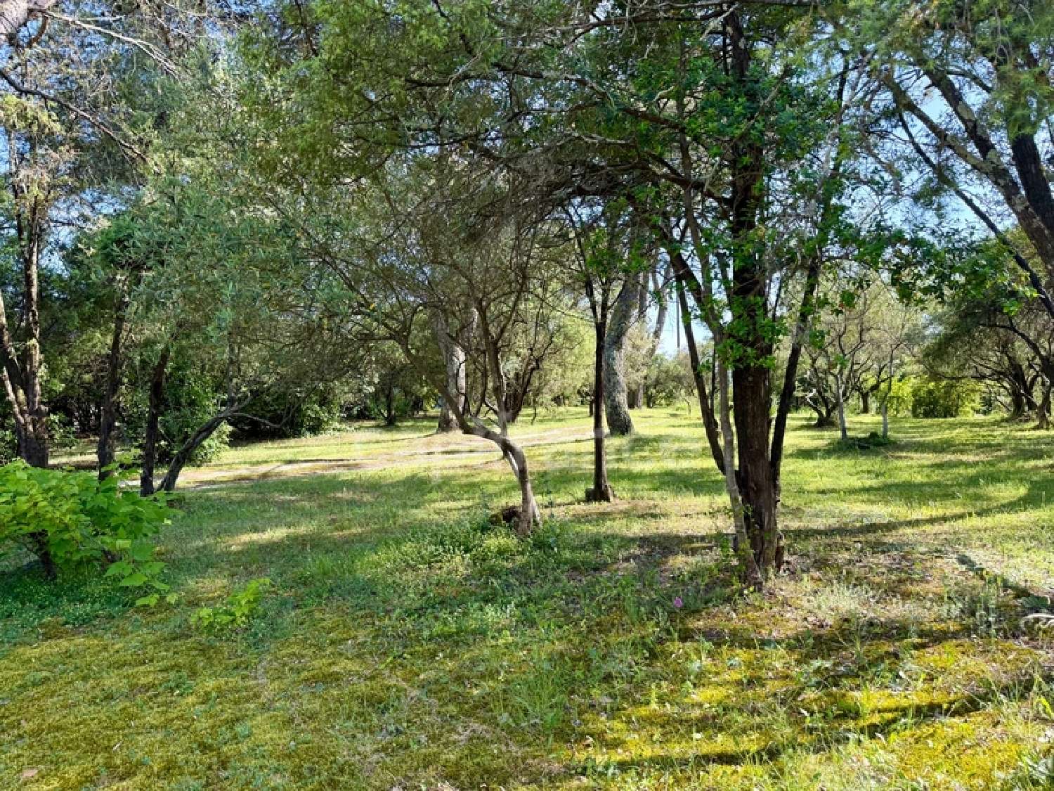  for sale house Boisset-et-Gaujac Gard 2