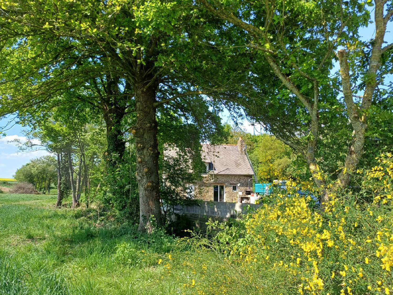 kaufen Haus Boistrudan Ille-et-Vilaine 1
