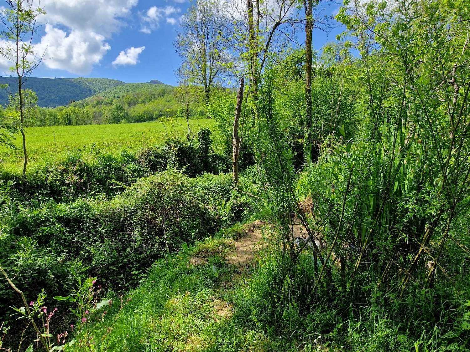 for sale house Brassac Ariège 2