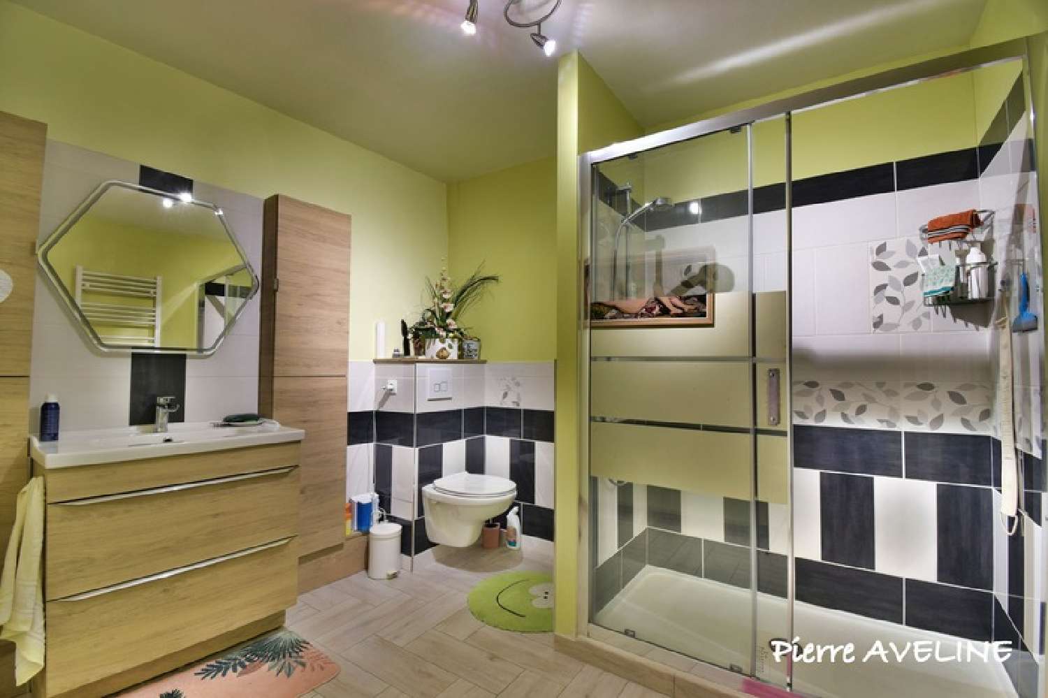 à vendre maison Brou Eure-et-Loir 7