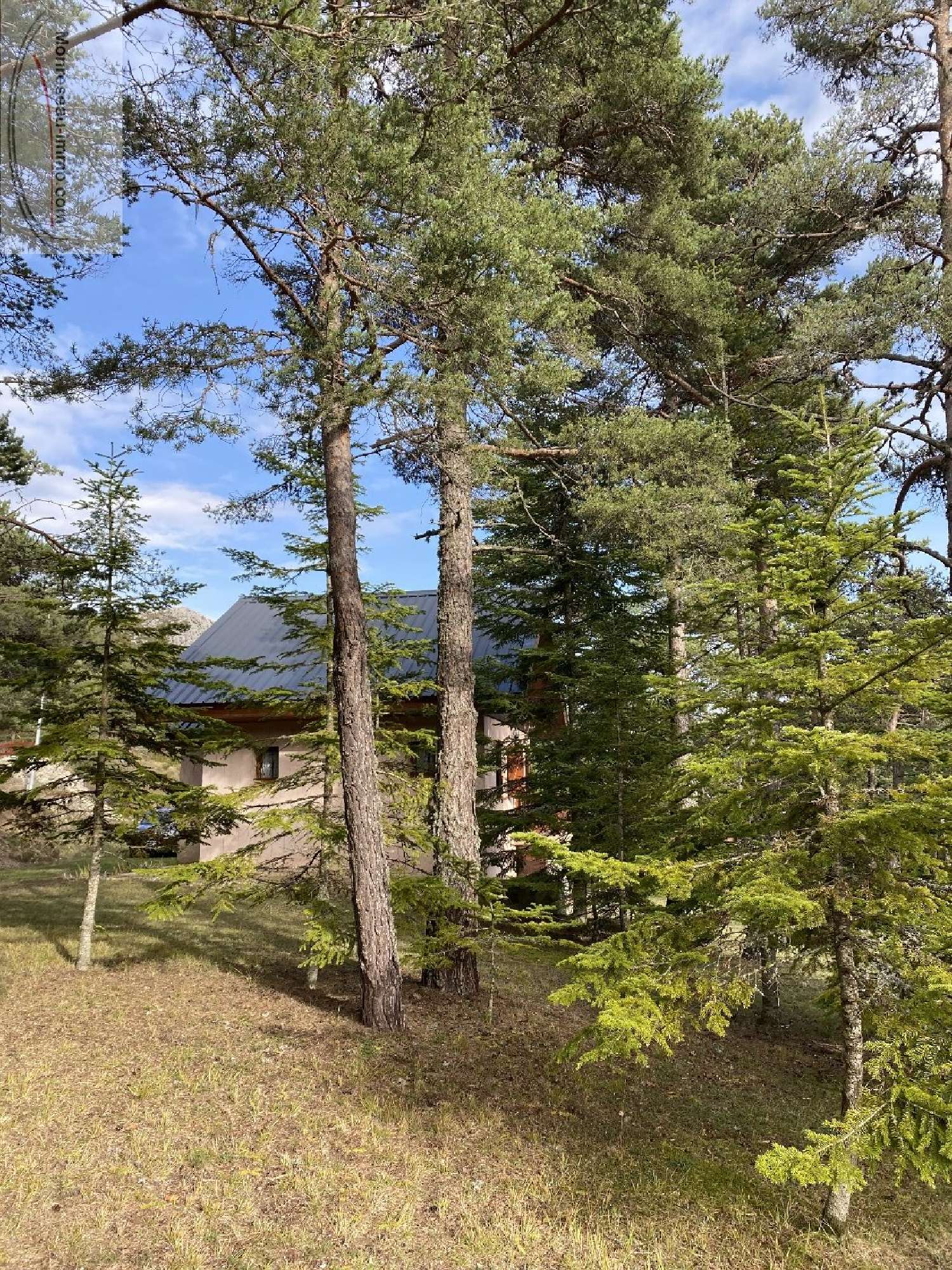  te koop huis Caille Alpes-Maritimes 2