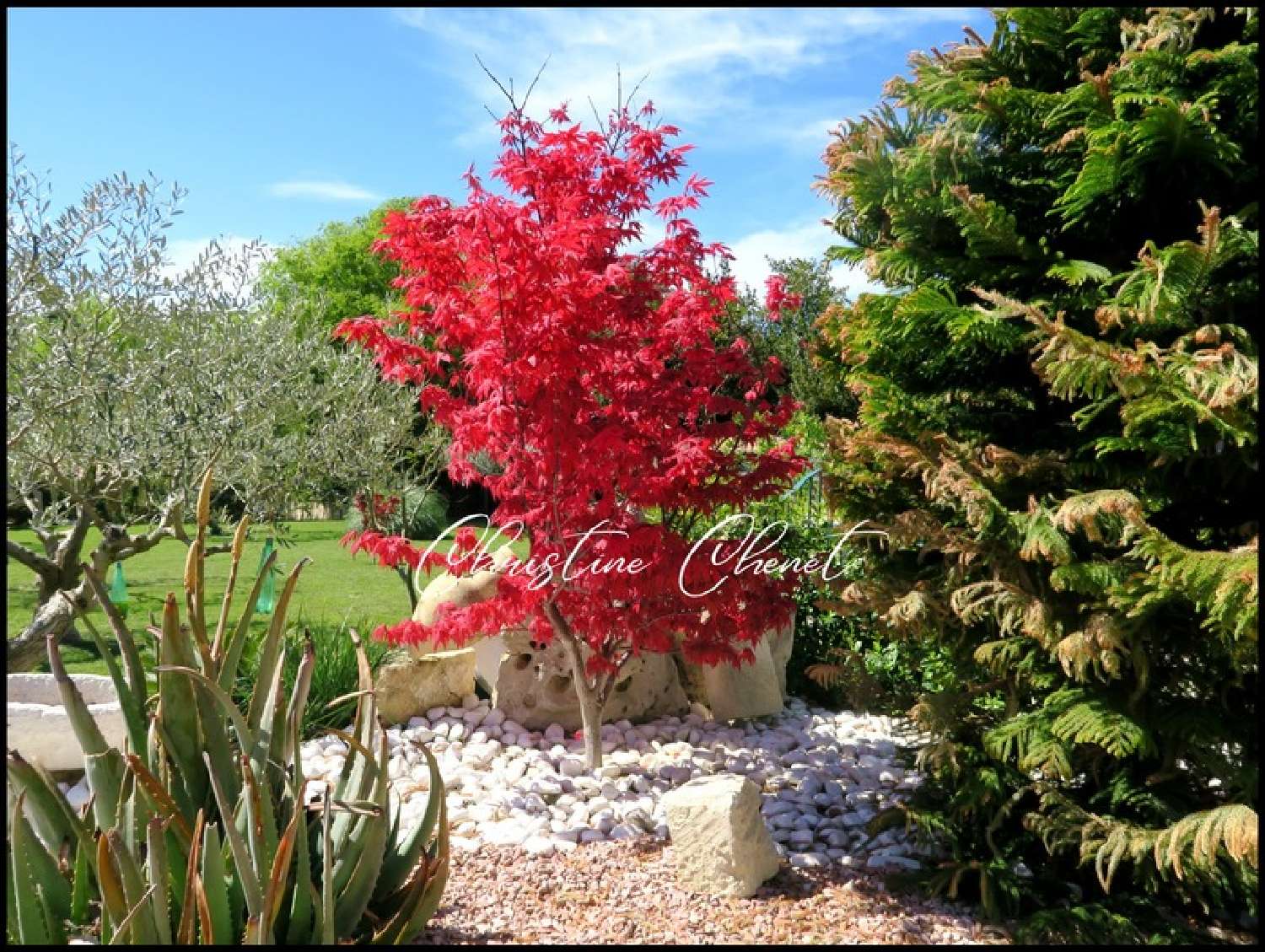  en venta casa Calvisson Gard 5