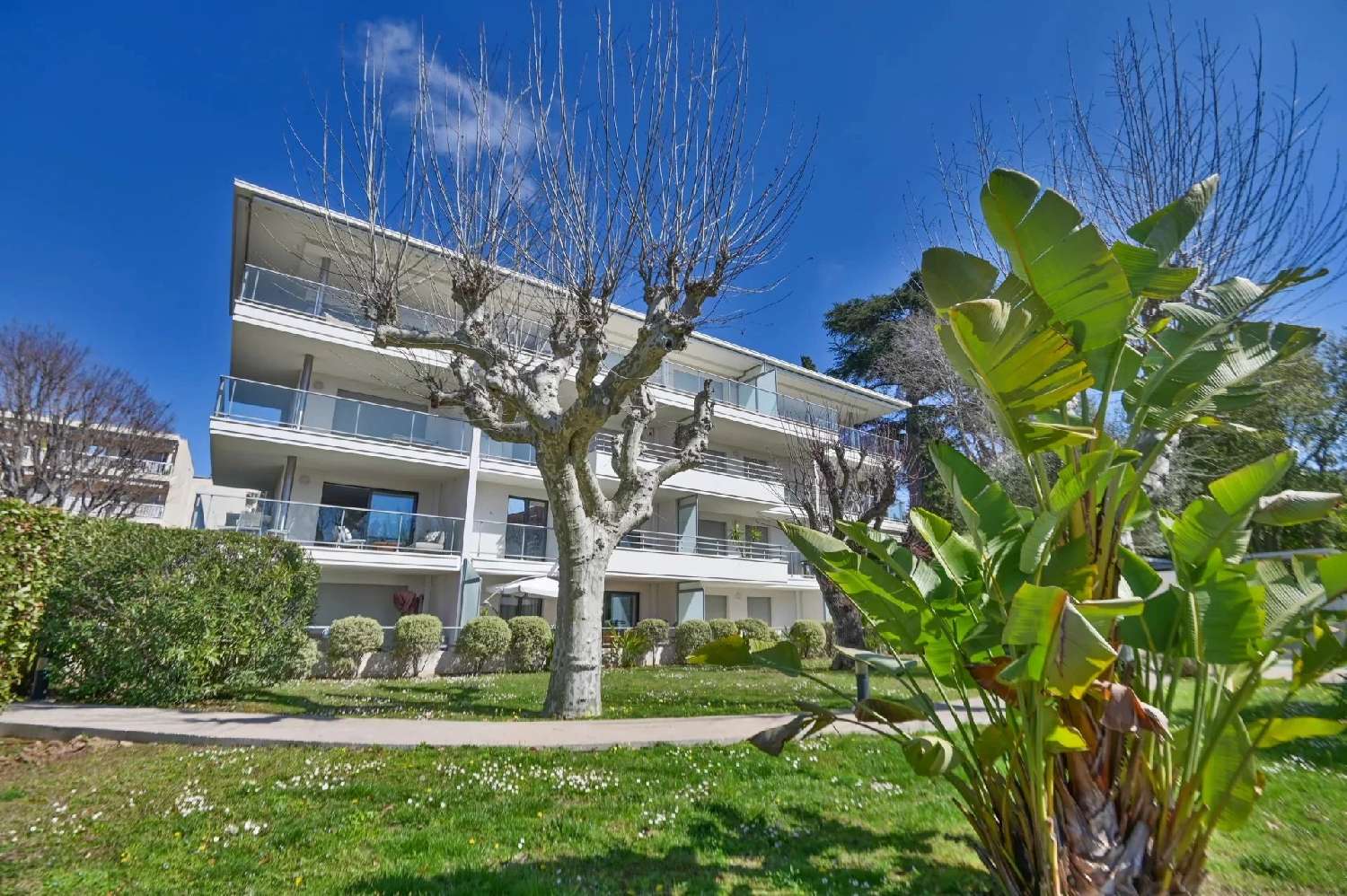 for sale house Cannes Alpes-Maritimes 3
