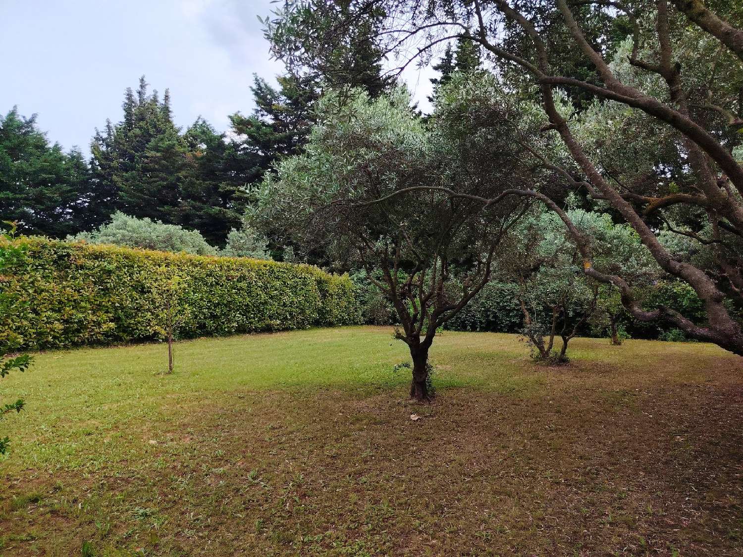 te koop huis Carpentras Vaucluse 6