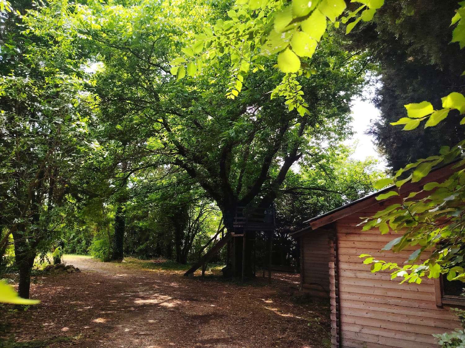 te koop huis Carpentras Vaucluse 7