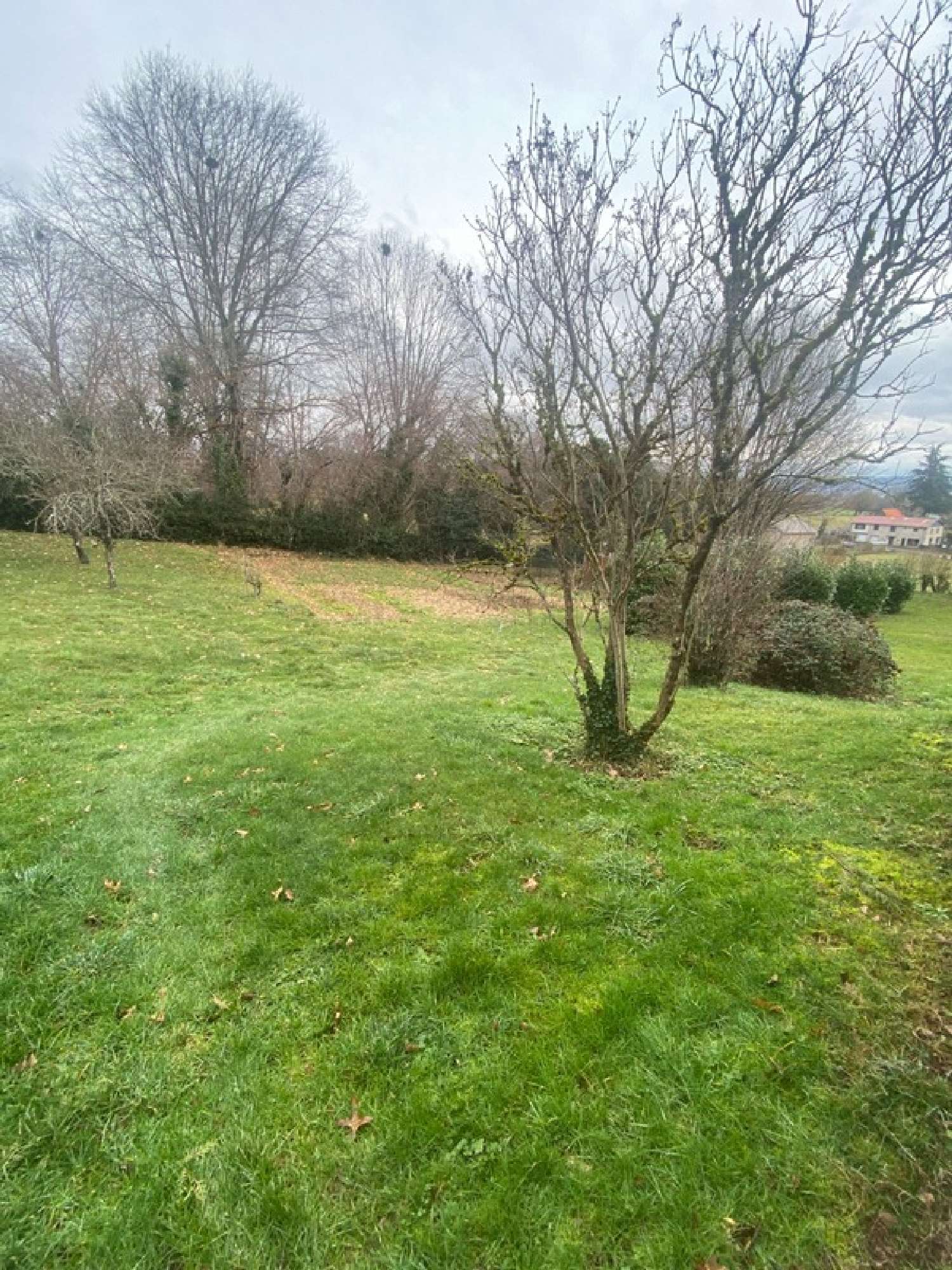  à vendre maison Cassaniouze Cantal 4