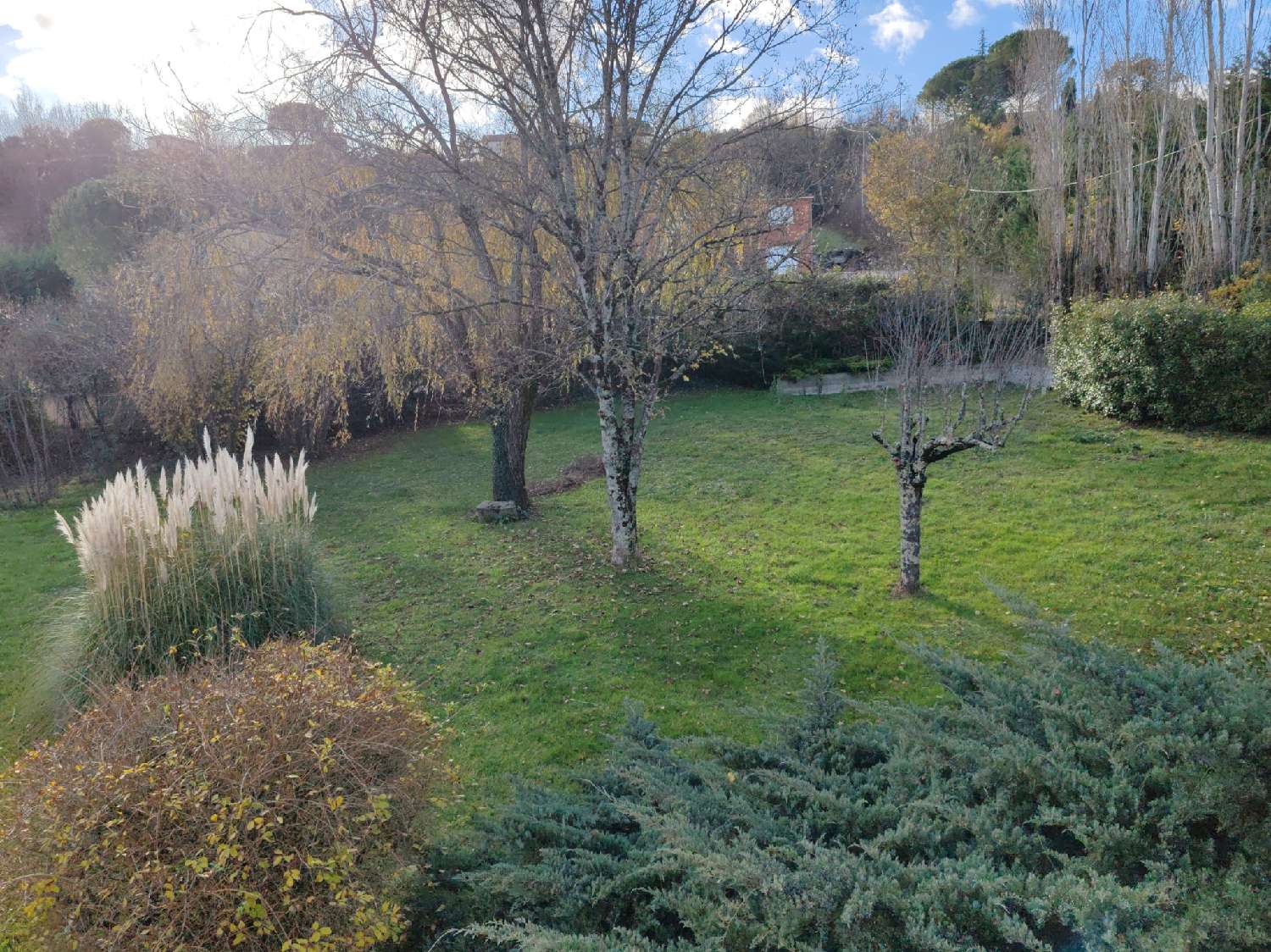 à vendre maison Castres Tarn 5