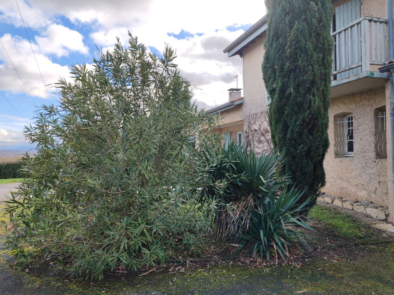 à vendre maison Castres Tarn 6