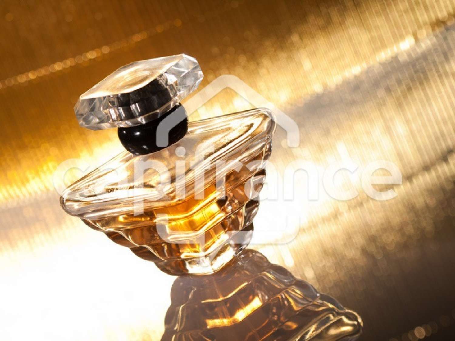 te koop huis Challans Vendée 2