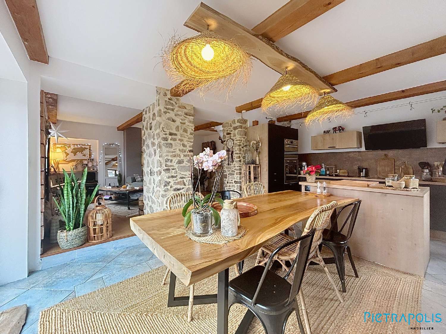  à vendre maison Chamelet Rhône 1