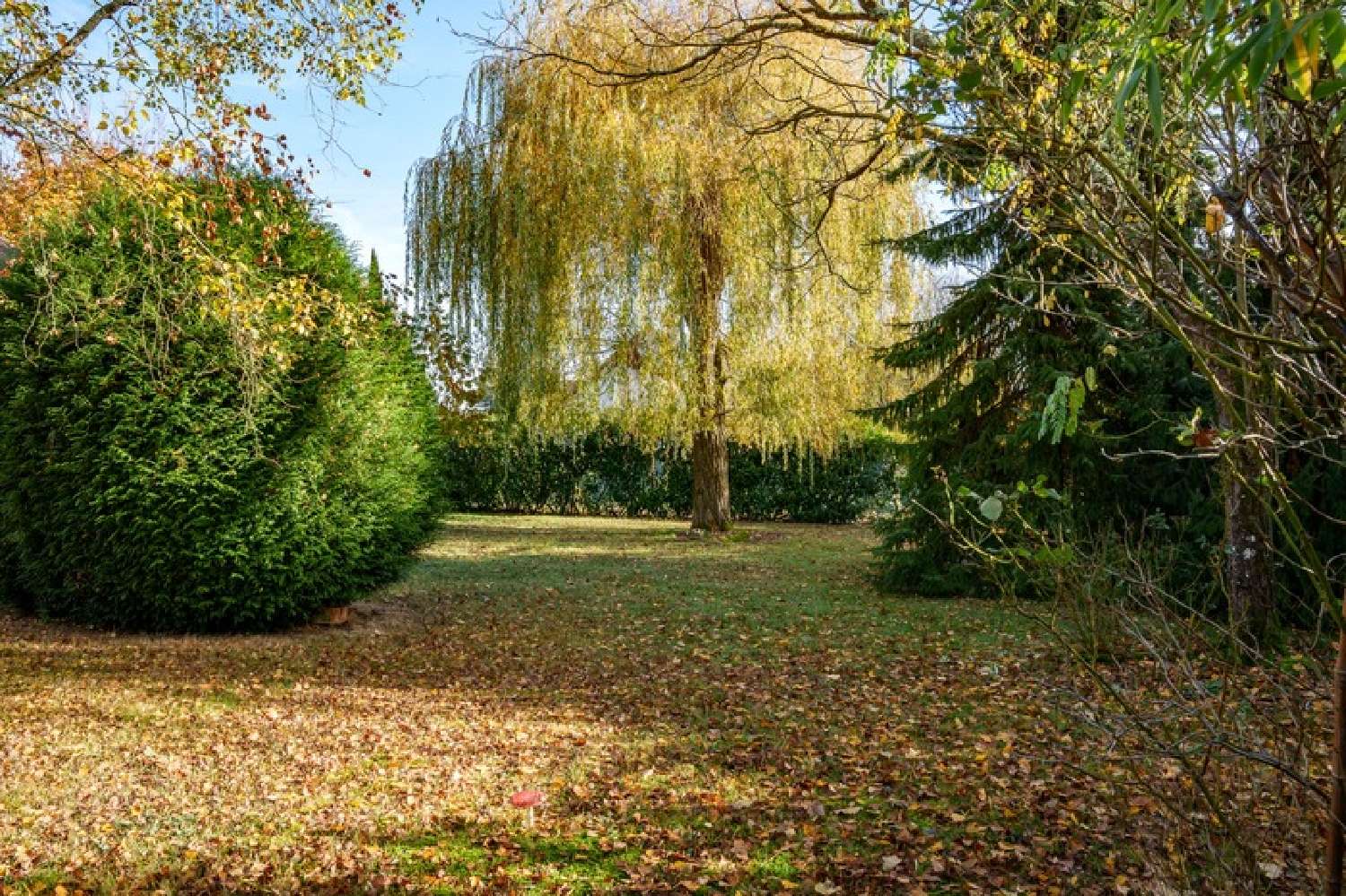  kaufen Haus Charentilly Indre-et-Loire 8