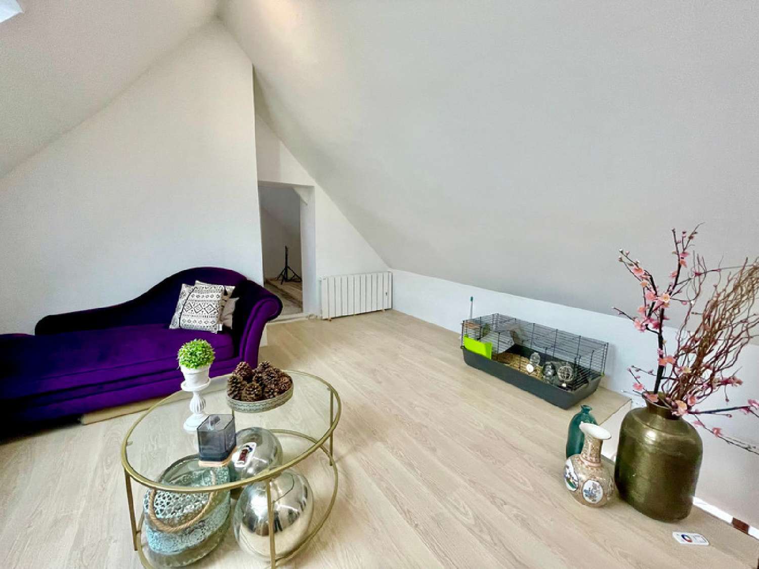  te koop huis Chartres Eure-et-Loir 7