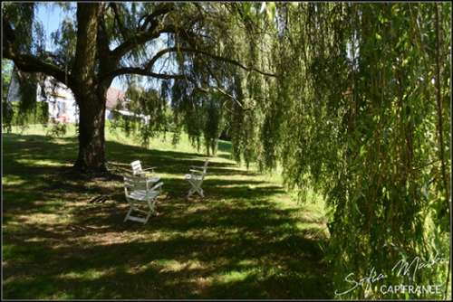 Chassignolles Indre Haus Bild 7247254