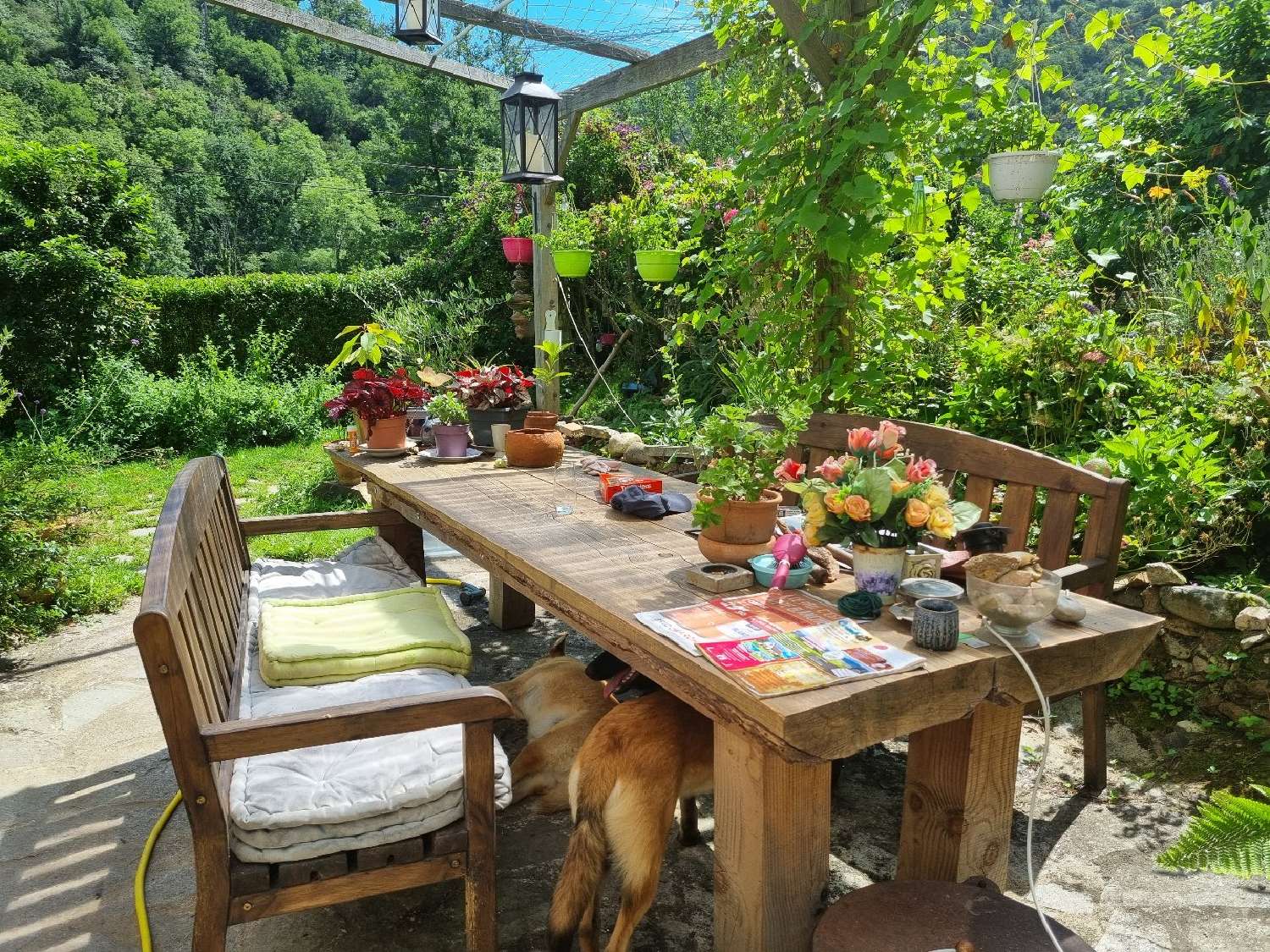  kaufen Haus Châteauneuf-les-Bains Puy-de-Dôme 3