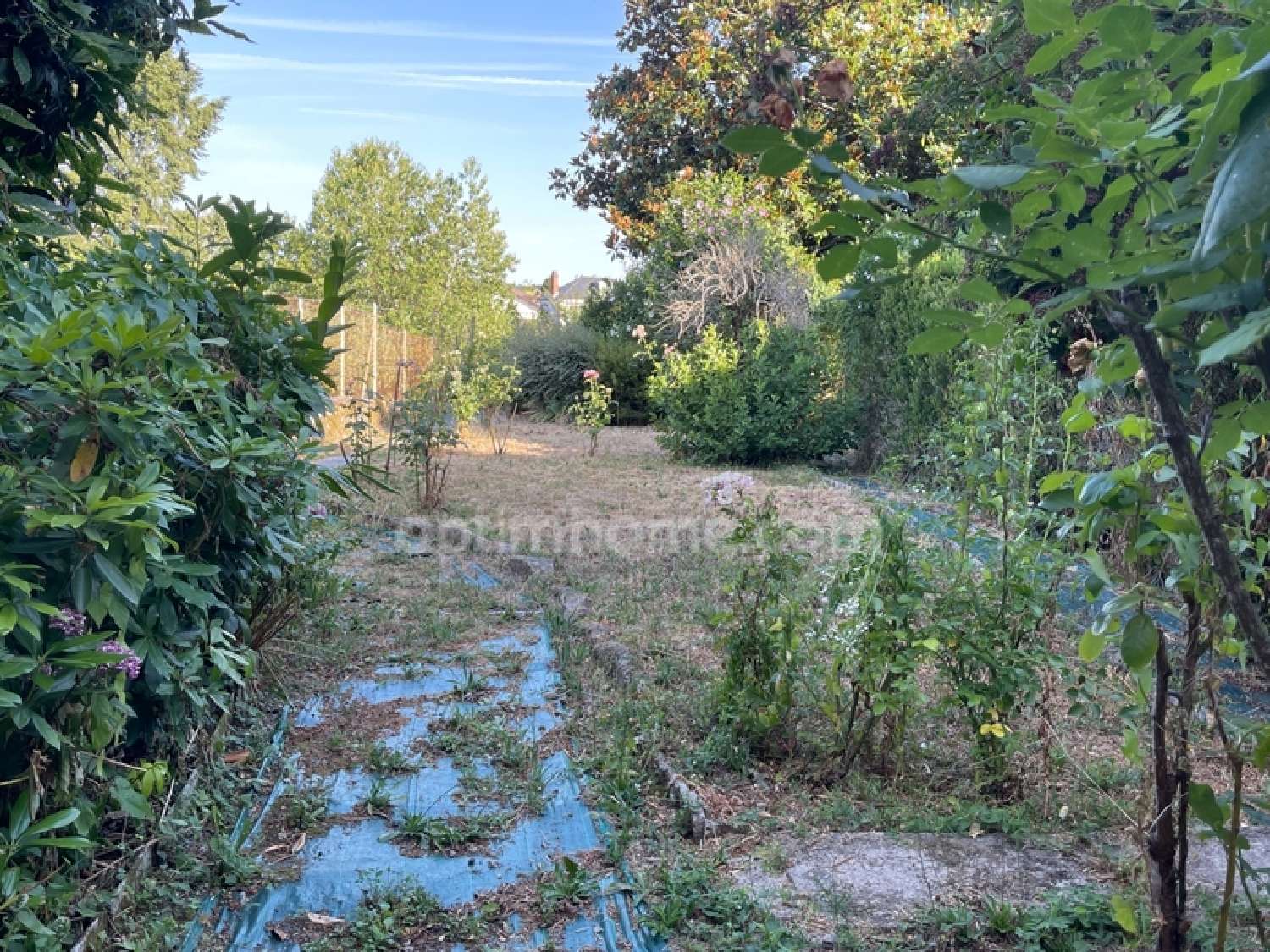  te koop huis Châteauponsac Haute-Vienne 4