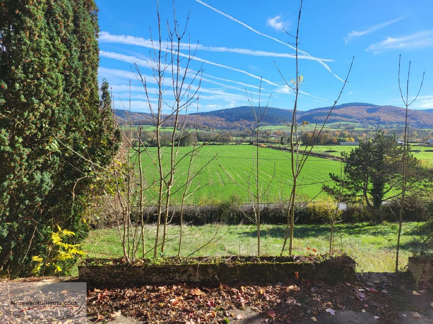  for sale house Cluny Saône-et-Loire 4