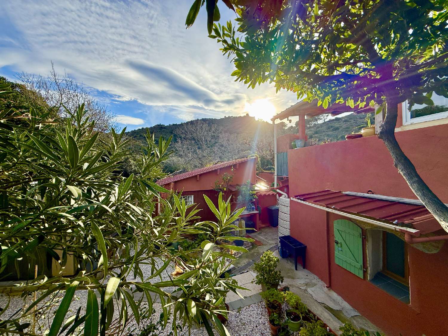 te koop huis Collioure Pyrénées-Orientales 1