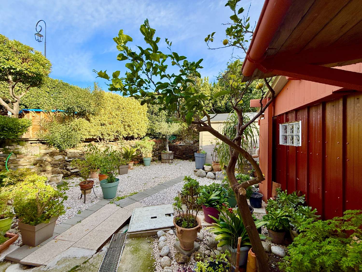 te koop huis Collioure Pyrénées-Orientales 3