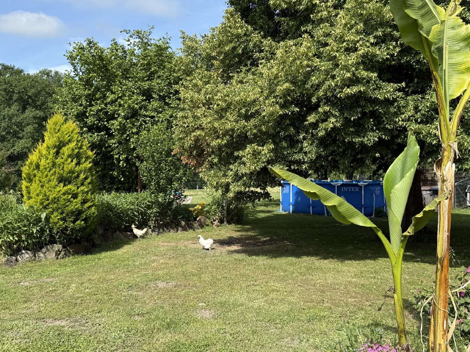  en venta casa Combiers Charente 6