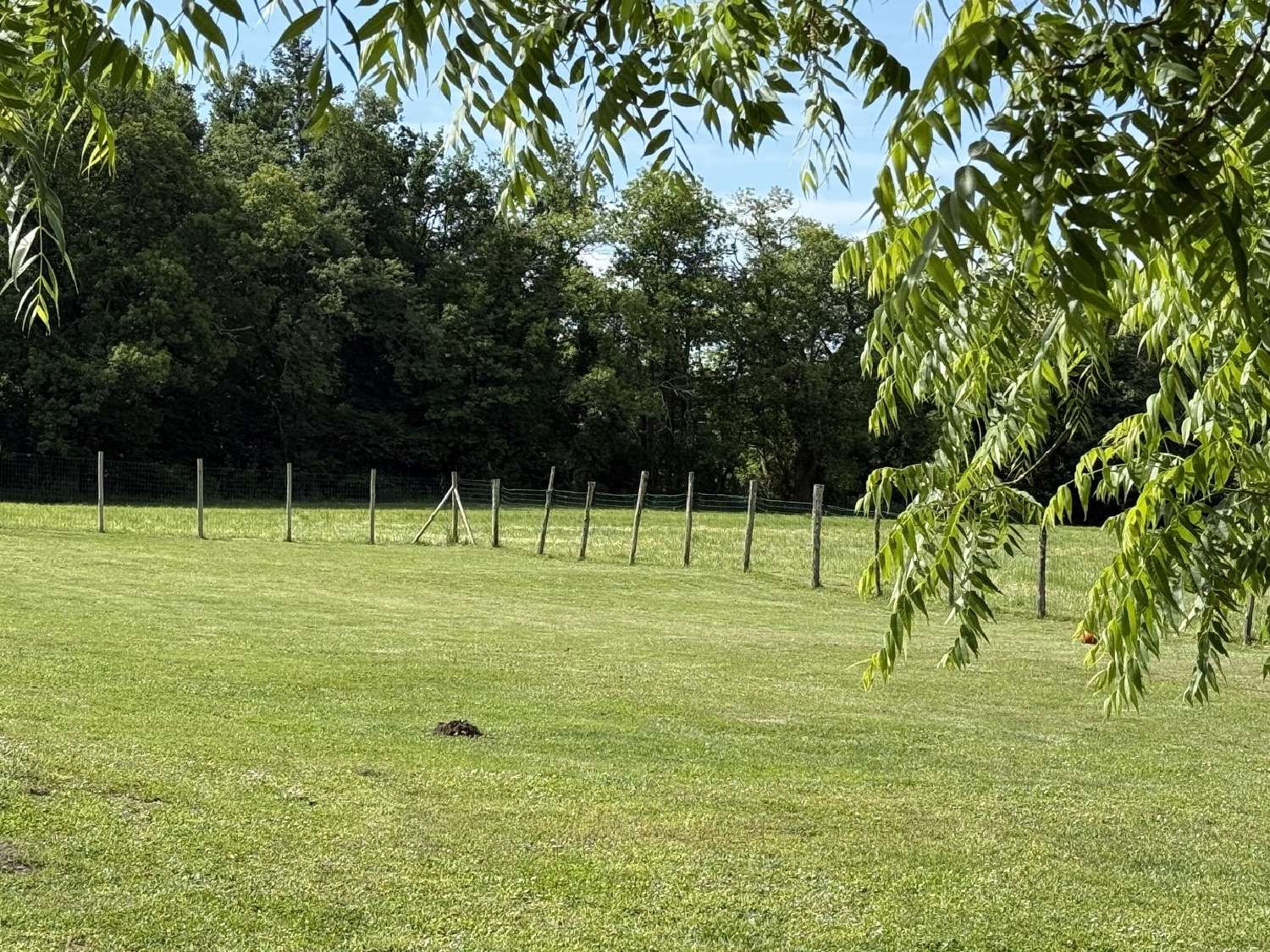 te koop huis Combiers Charente 5