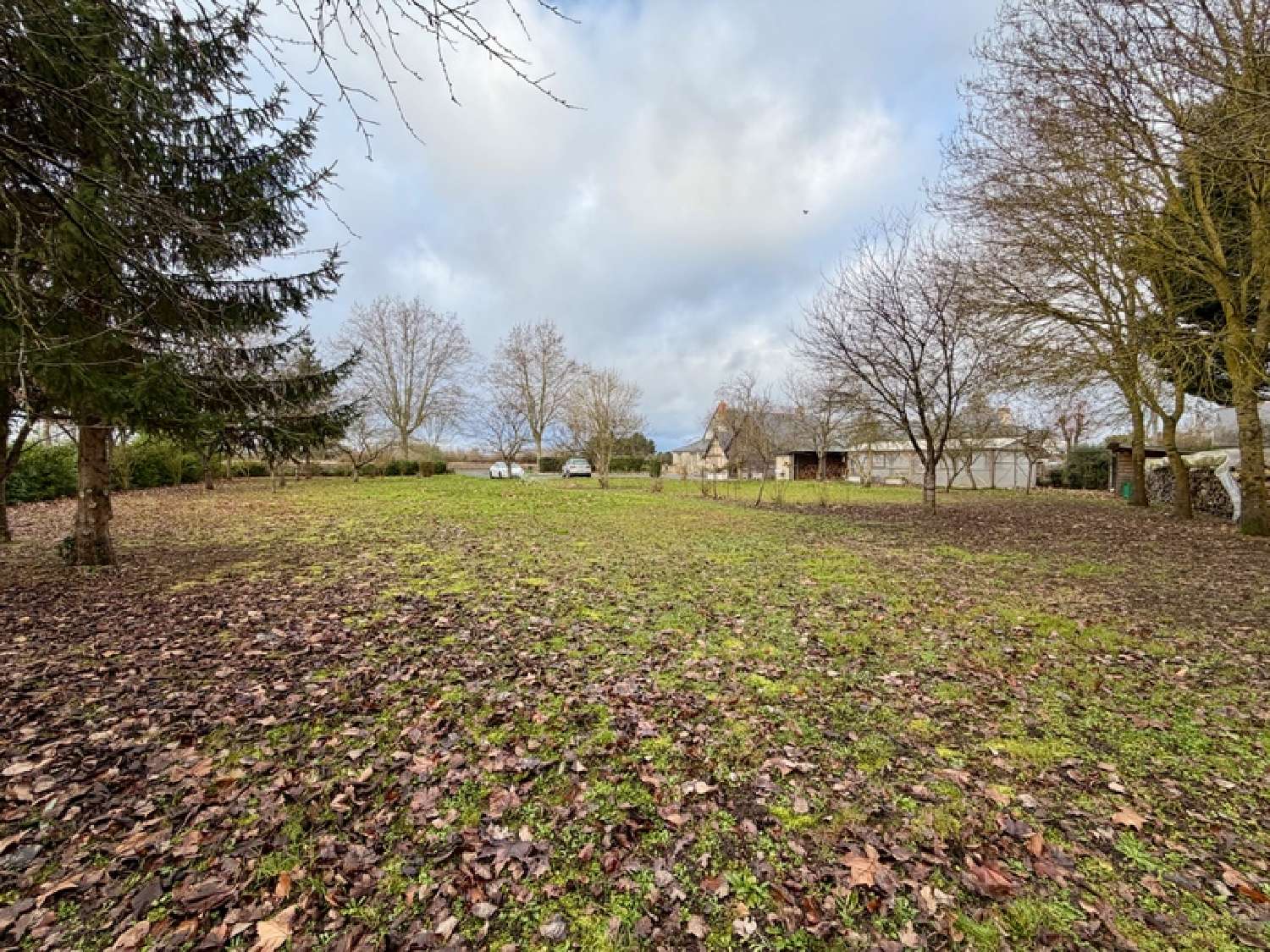  for sale house Corné Maine-et-Loire 7