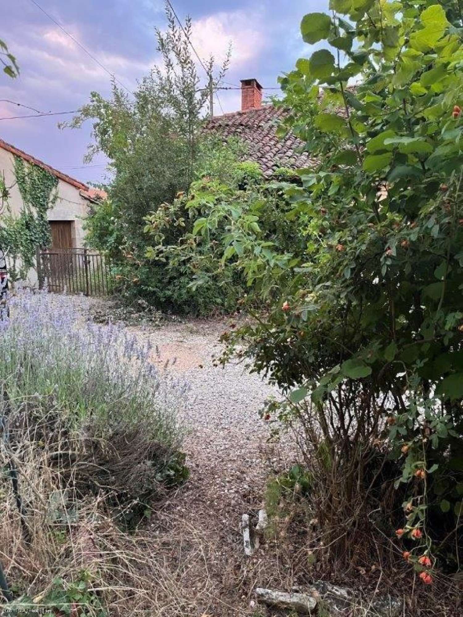  te koop huis Couhé Vienne 5