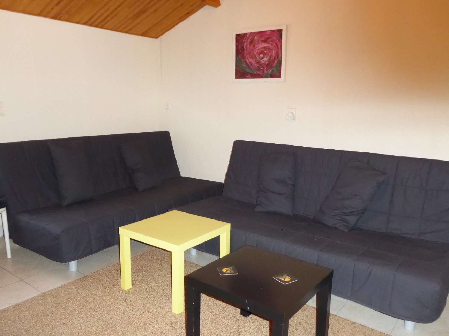 te koop huis Couleuvre Allier 3