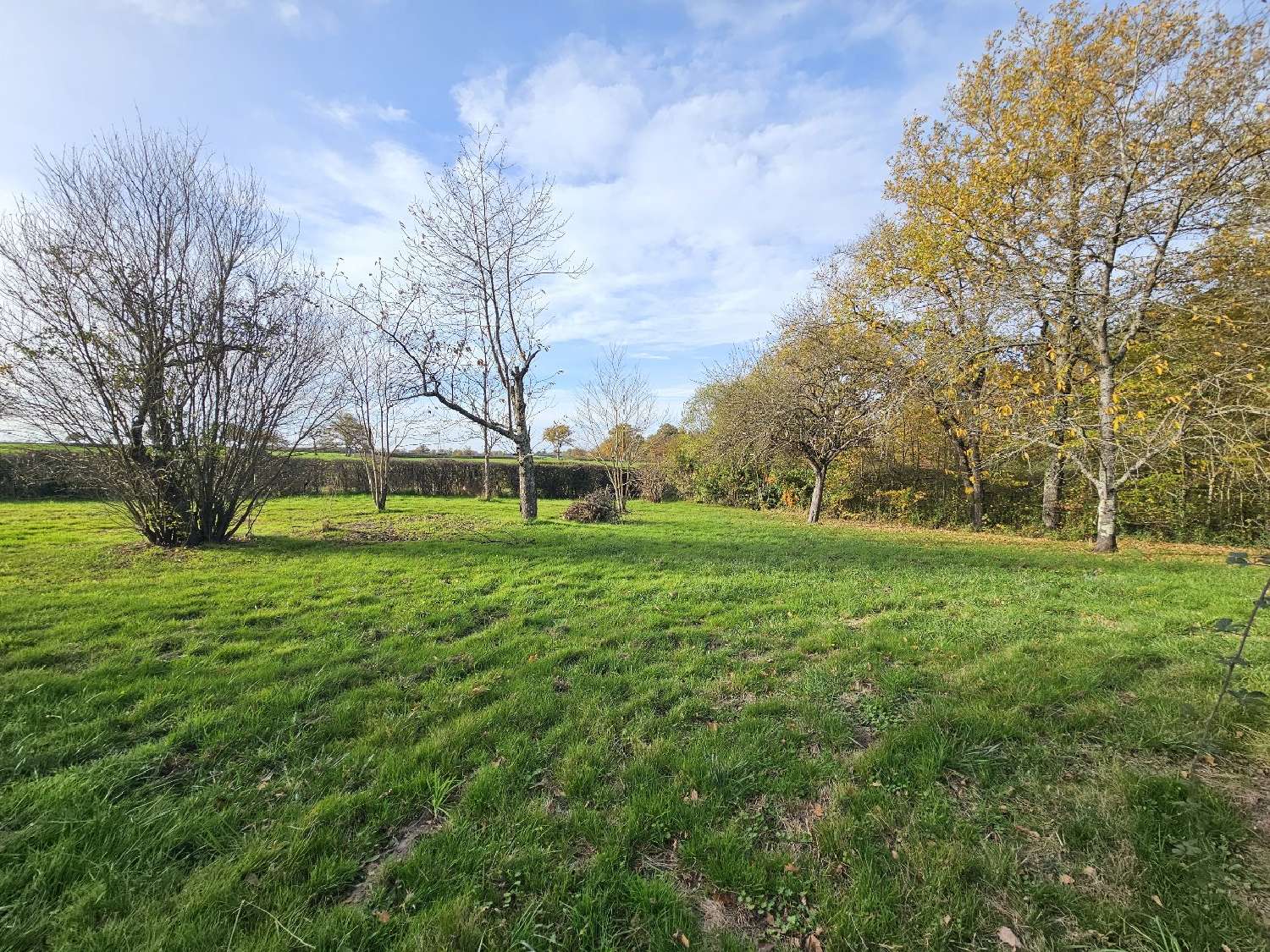 te koop huis Couleuvre Allier 7