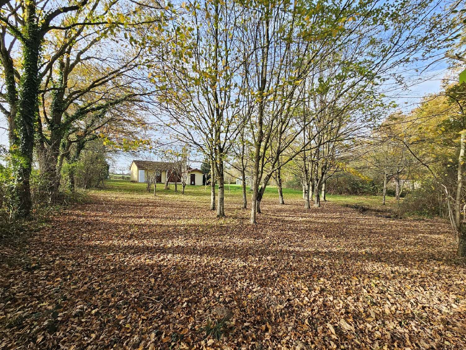 te koop huis Couleuvre Allier 8