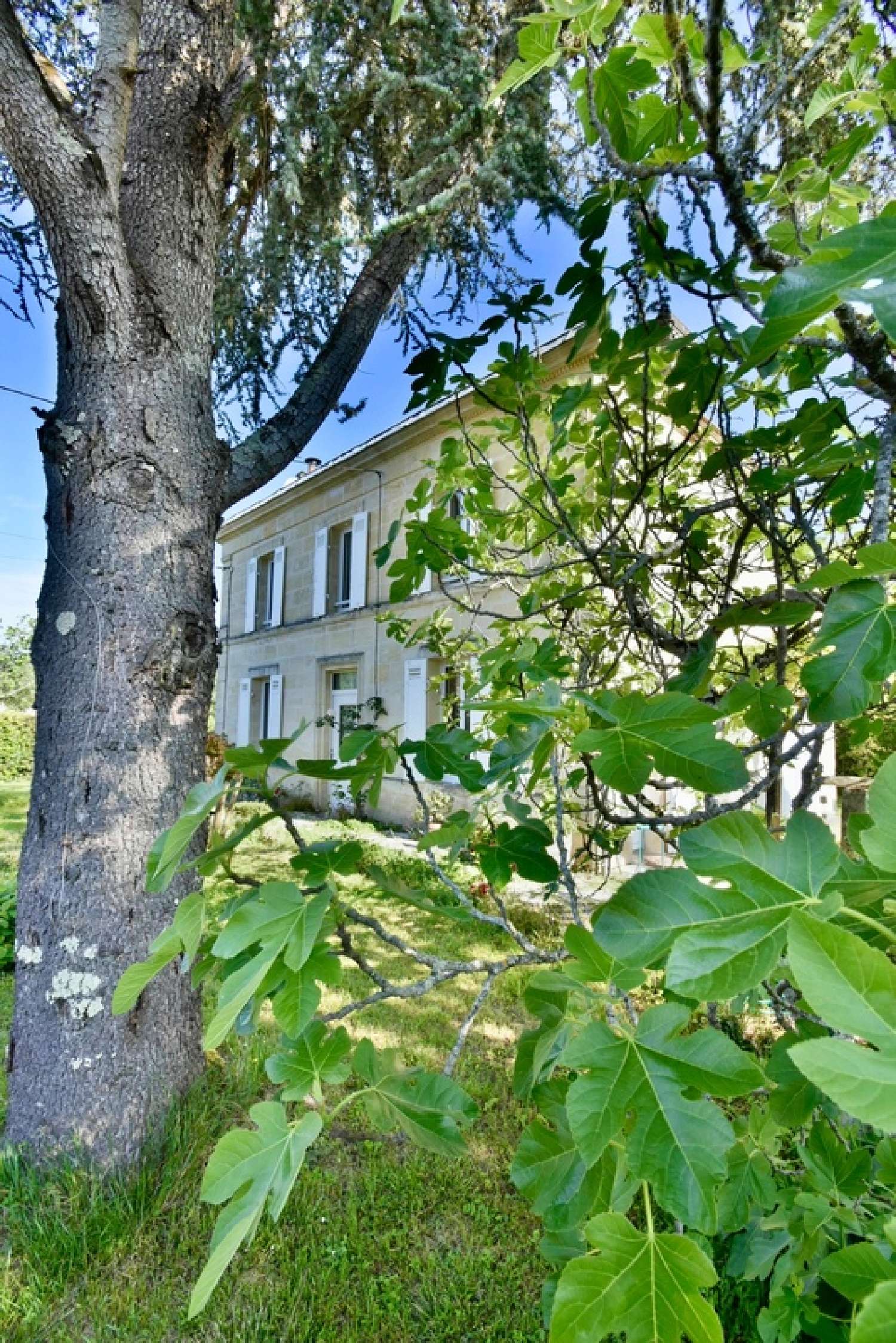  à vendre maison Créon Gironde 5