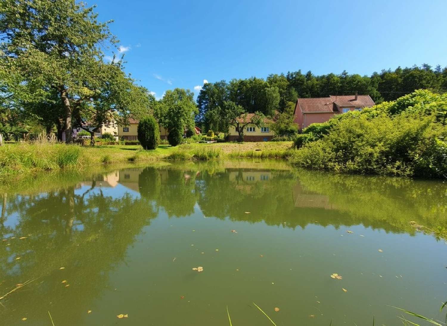  à vendre maison Dambach Bas-Rhin 4