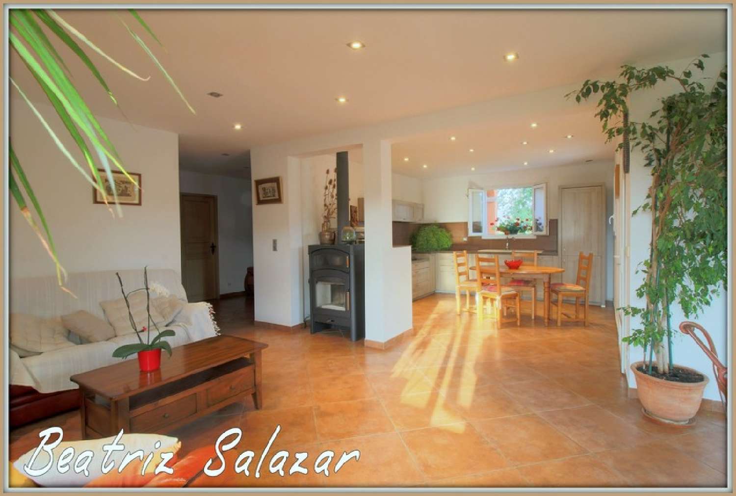  à vendre maison Digne-Les-Bains Alpes-de-Haute-Provence 6