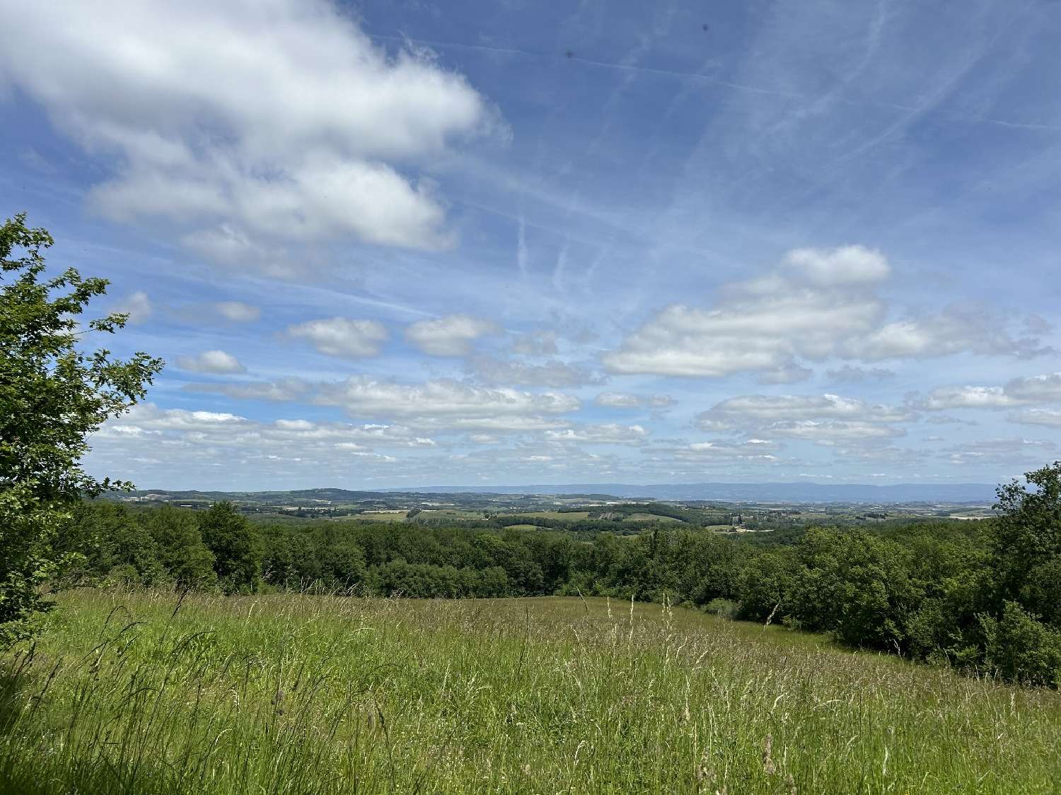  te koop huis Escueillens Aude 4