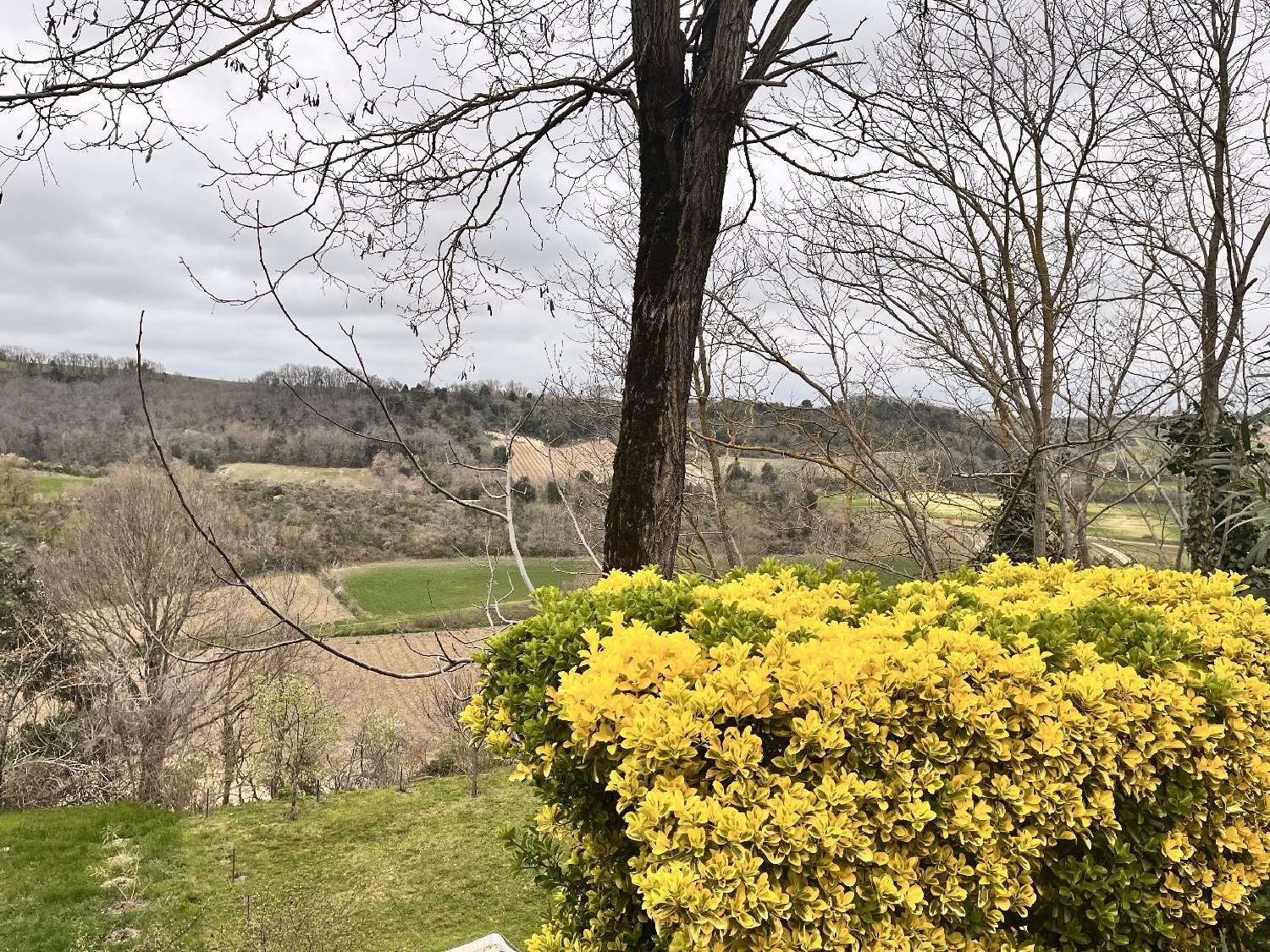 te koop huis Fanjeaux Aude 3