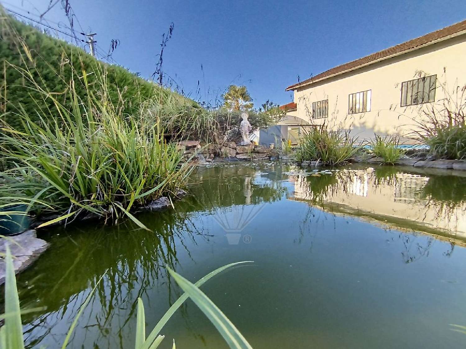  en venta casa Fareins Ain 2