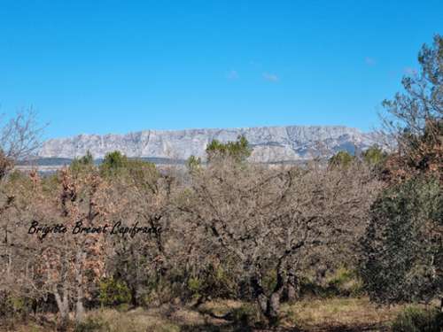 Fuveau Bouches-du-Rhône maison foto 7246447