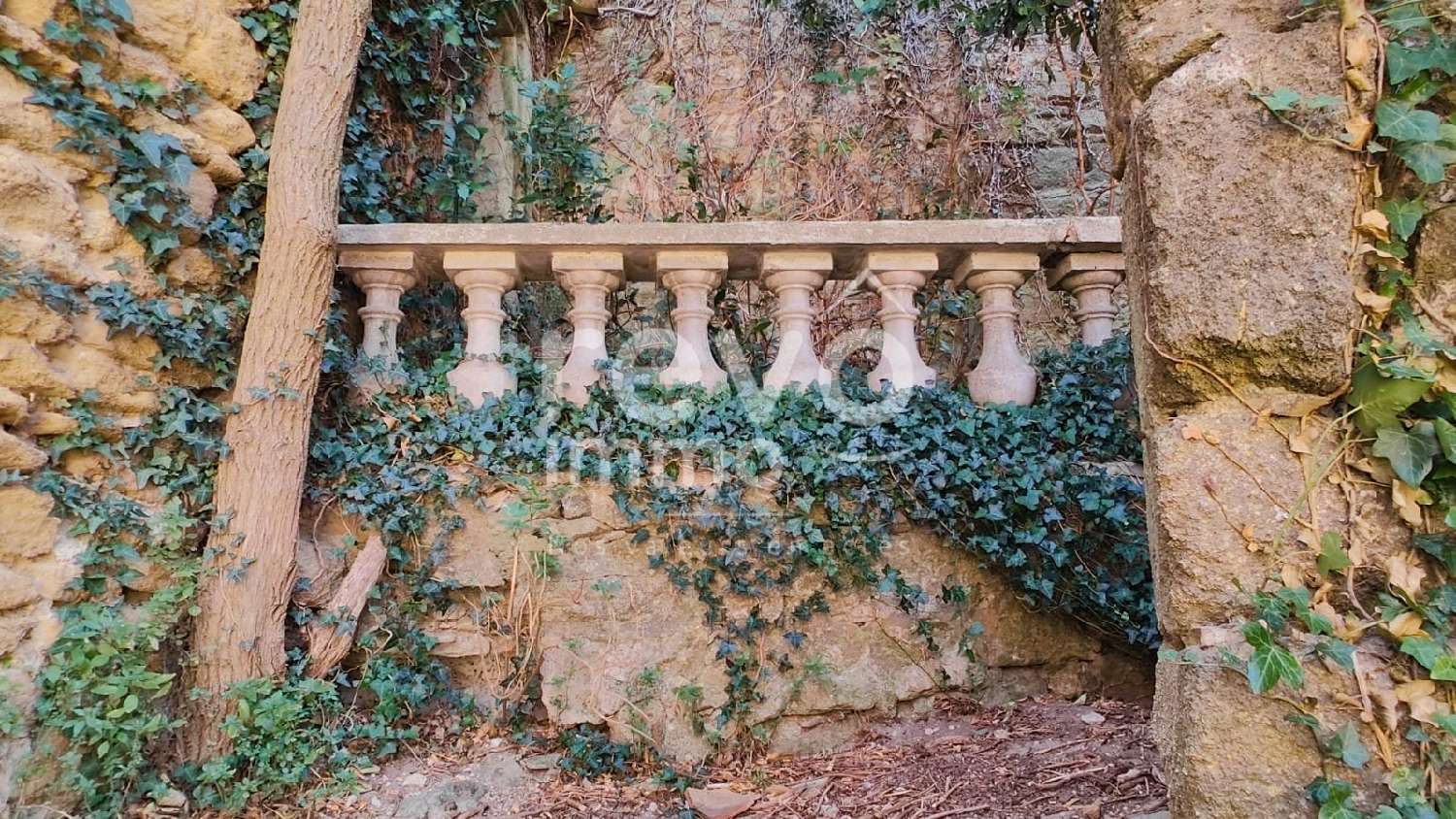  à vendre maison Grillon Vaucluse 3