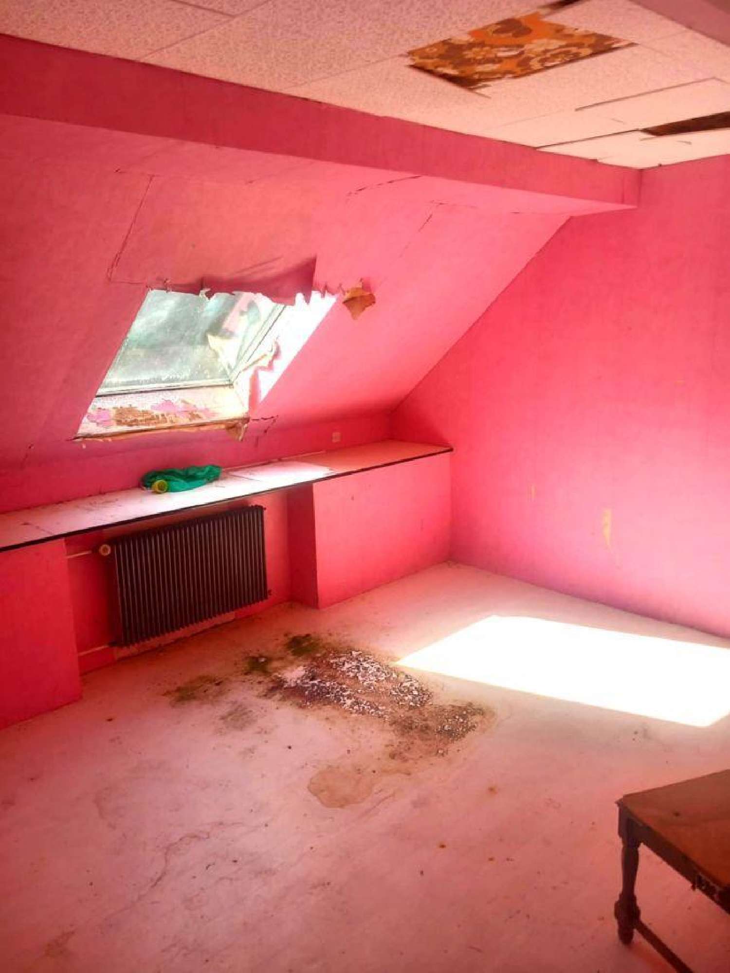 kaufen Haus Herbitzheim Bas-Rhin 4