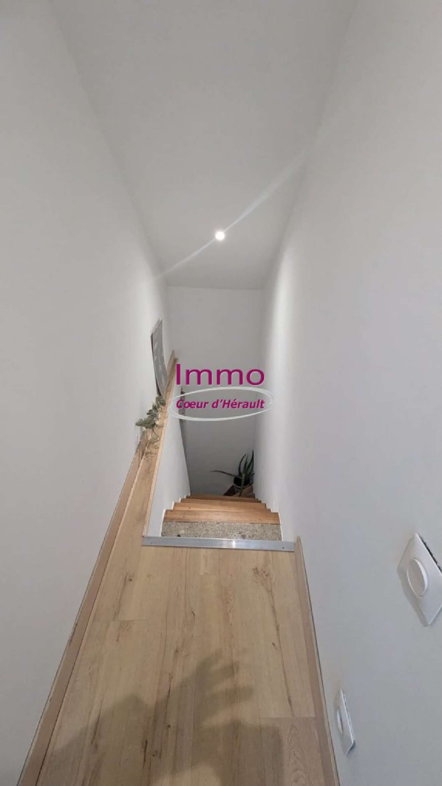  te koop huis Jonquières Hérault 5