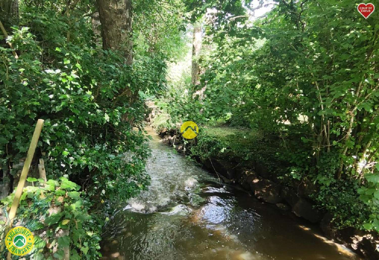  te koop huis Jouet-sur-l'Aubois Cher 3