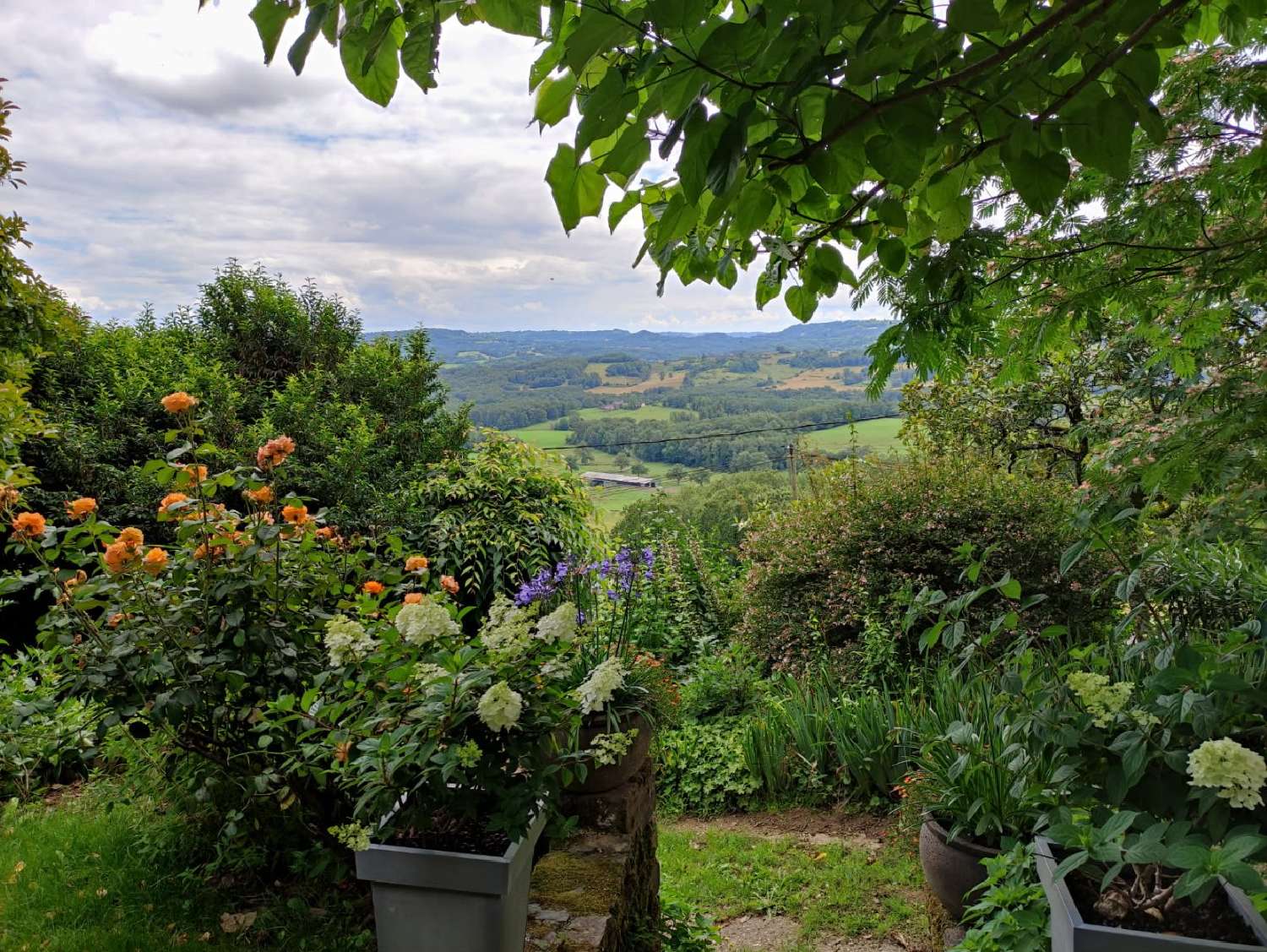  for sale house Juillac Corrèze 7