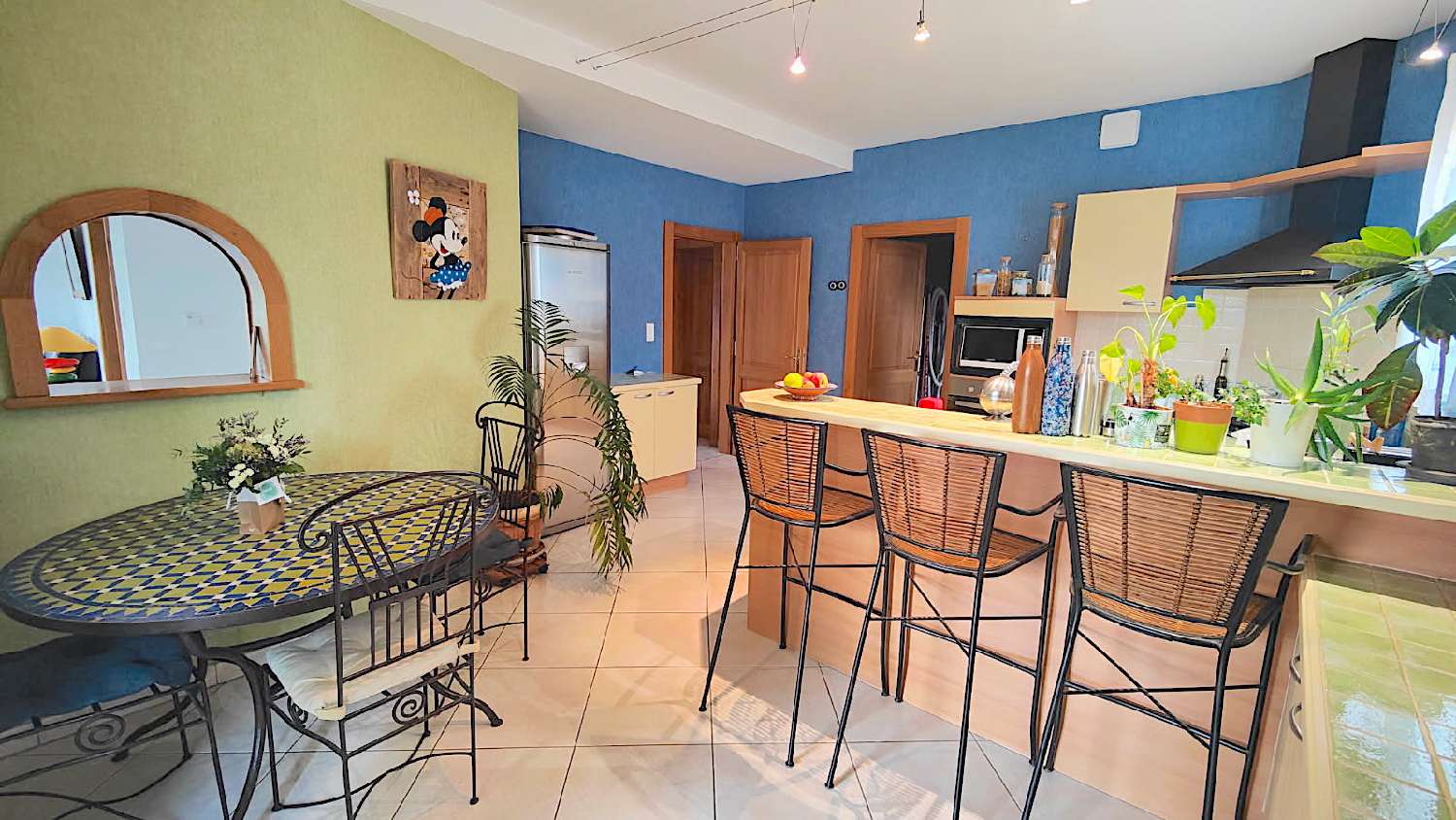  te koop huis L'Isle-sur-le-Doubs Doubs 8