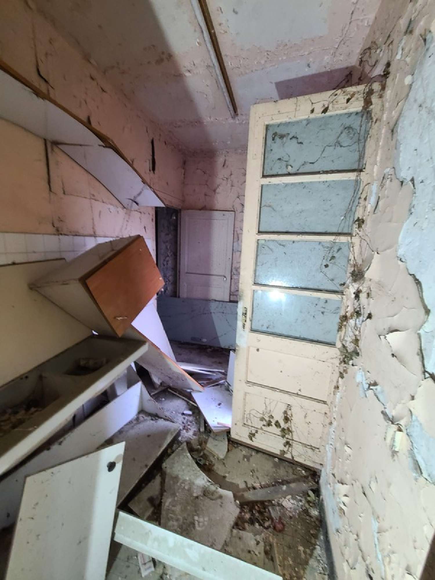  kaufen Haus La Chapelle-sur-Loire Indre-et-Loire 6