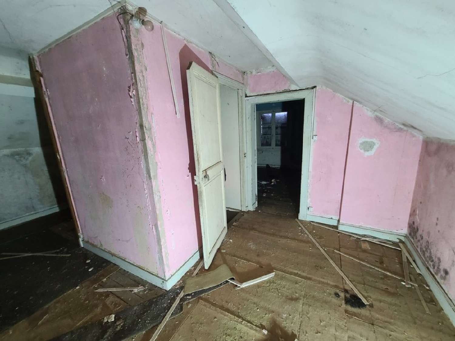  kaufen Haus La Chapelle-sur-Loire Indre-et-Loire 7