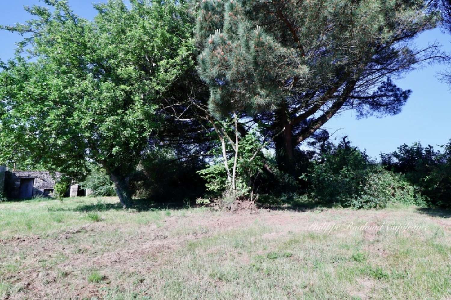  à vendre maison La Chapelle-Thémer Vendée 4